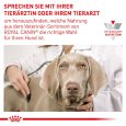 Royal Canin Expert Canine Mature Consult Large Dog7
