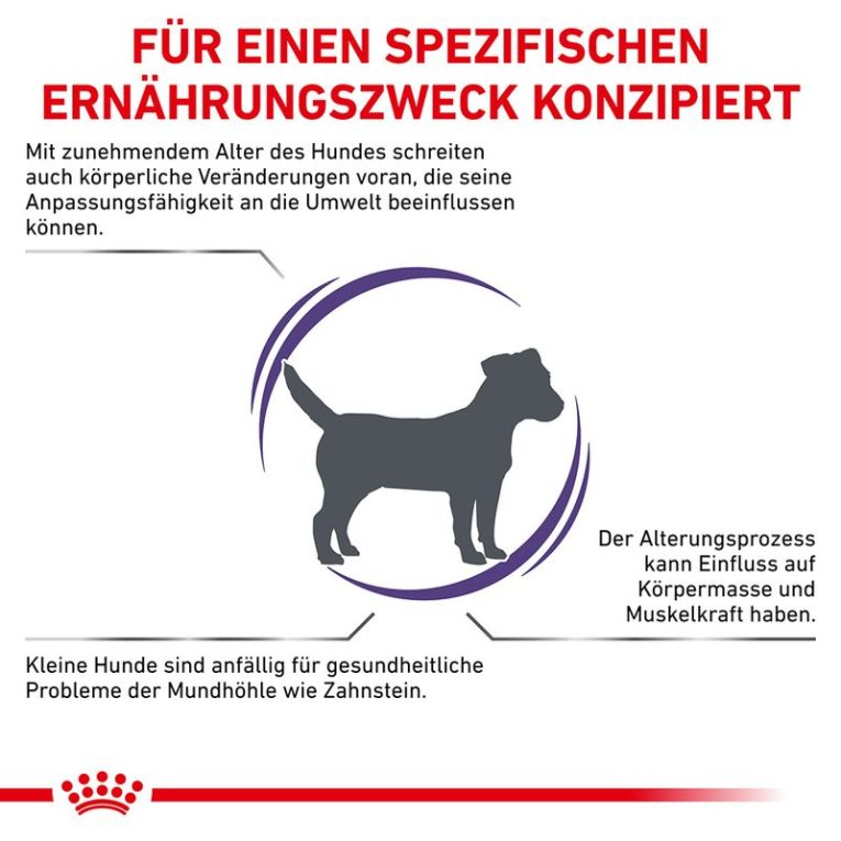 Royal Canin Expert Canine Mature Consult Small Dog1