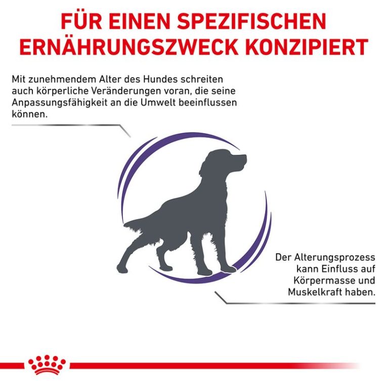 Royal Canin Expert Mature Consult Medium Dog1