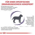 Royal Canin Expert Neutered Junior Medium Dogs1