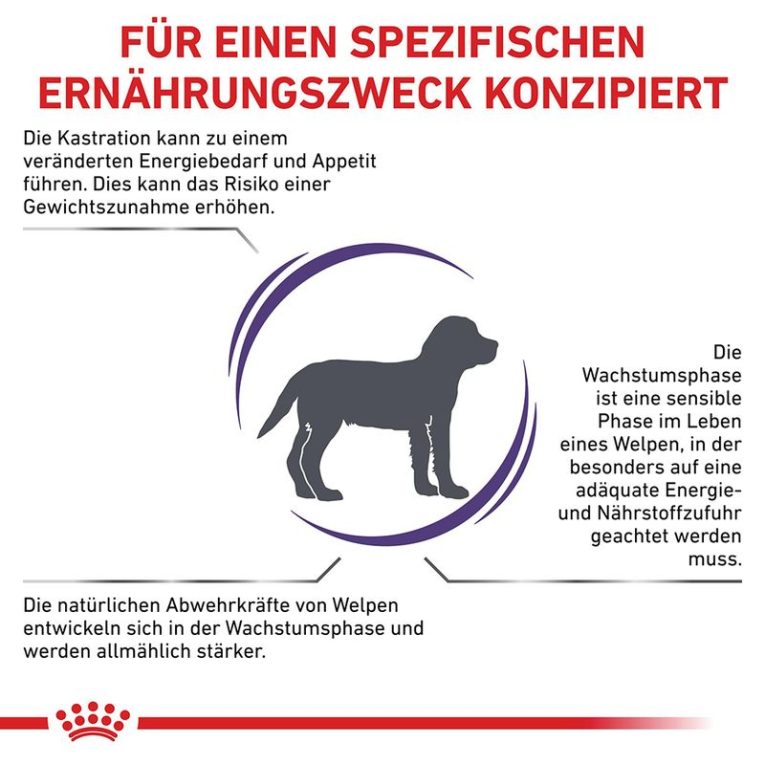 Royal Canin Expert Neutered Junior Medium Dogs1