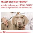 Royal Canin Expert Neutered Junior Medium Dogs6