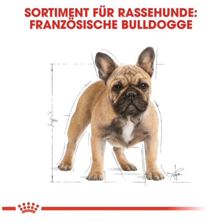 Royal Canin French Bulldog Adult6