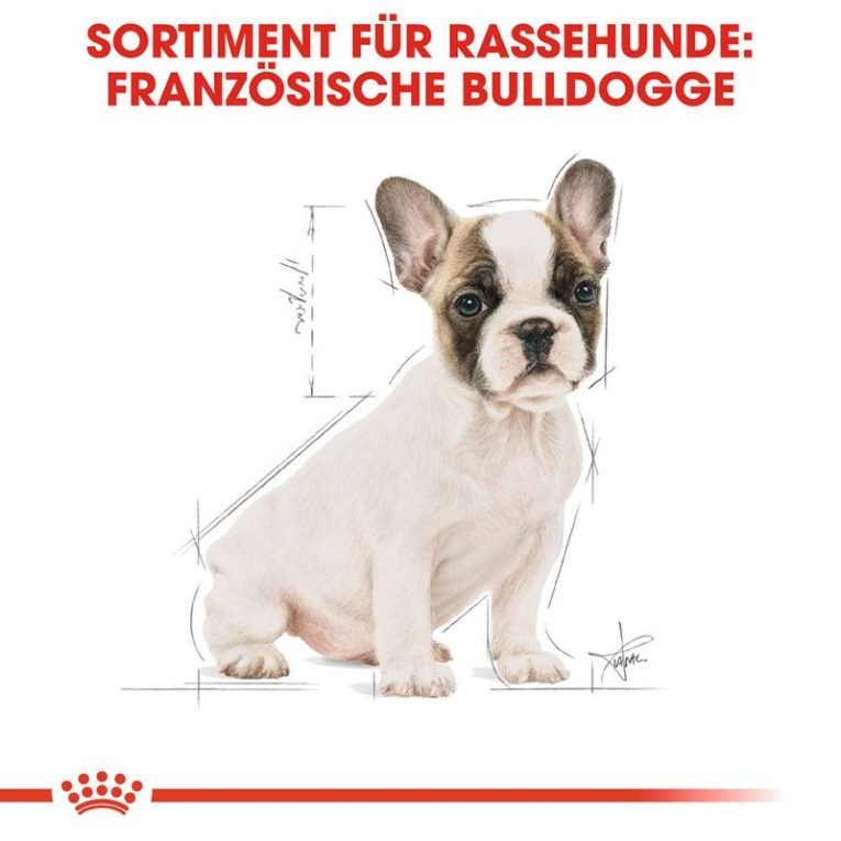 Royal Canin French Bulldog Puppy5