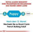 Royal Canin French Bulldog Puppy6