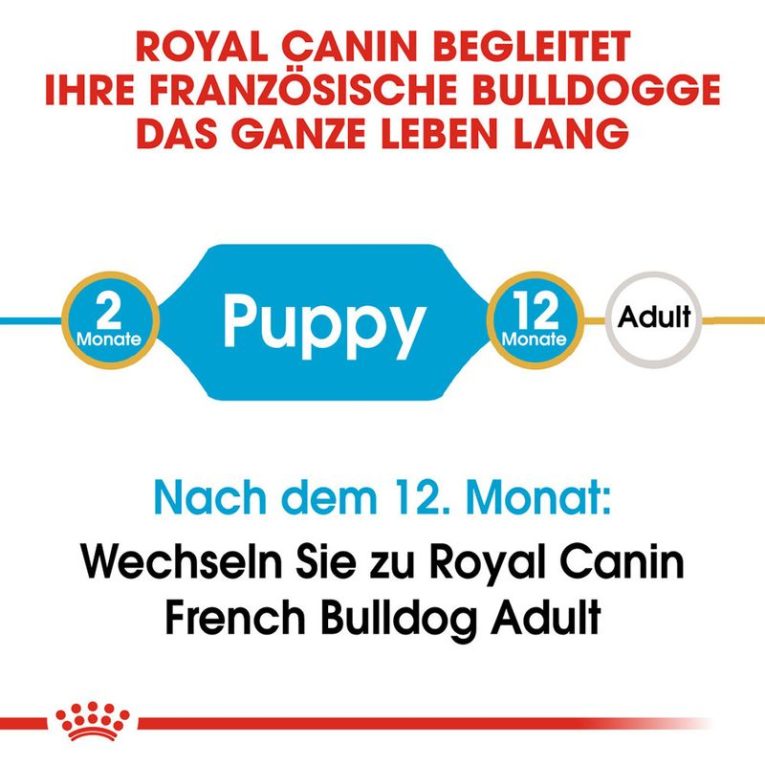 Royal Canin French Bulldog Puppy6