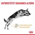 Royal Canin German Shepherd Adult 5+ 3