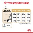Royal Canin German Shepherd Adult 5+ 6