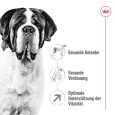Royal Canin Giant Adult1