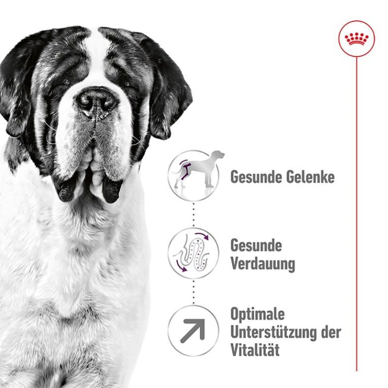 Royal Canin Giant Adult1