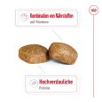 Royal Canin Giant Adult2