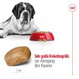 Royal Canin Giant Adult3