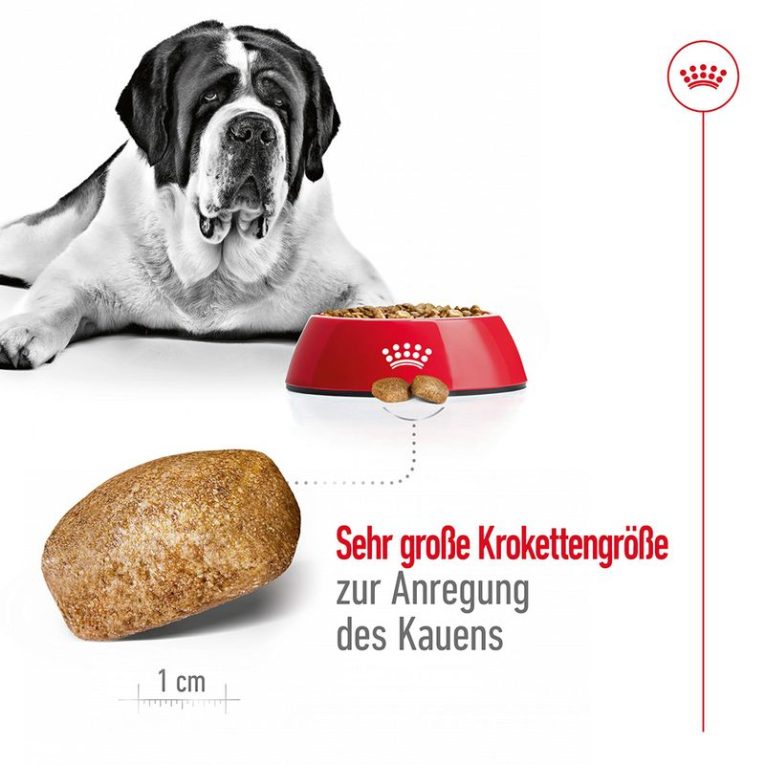 Royal Canin Giant Adult3
