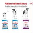 Royal Canin Giant Adult4