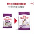 Royal Canin Giant Adult8