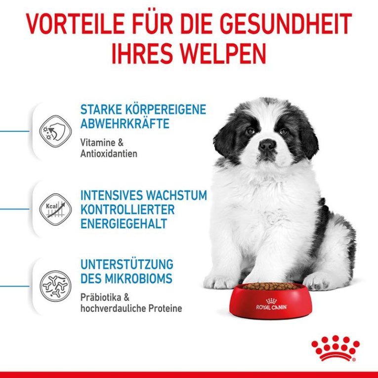 Royal Canin Giant Puppy3