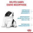 Royal Canin Giant Puppy4