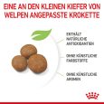 Royal Canin Giant Puppy5