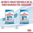 Royal Canin Giant Puppy7
