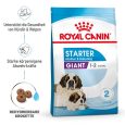 Royal Canin Giant Starter Mother & Babydog1
