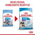 Royal Canin Giant Starter Mother & Babydog2