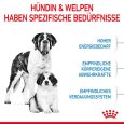 Royal Canin Giant Starter Mother & Babydog3