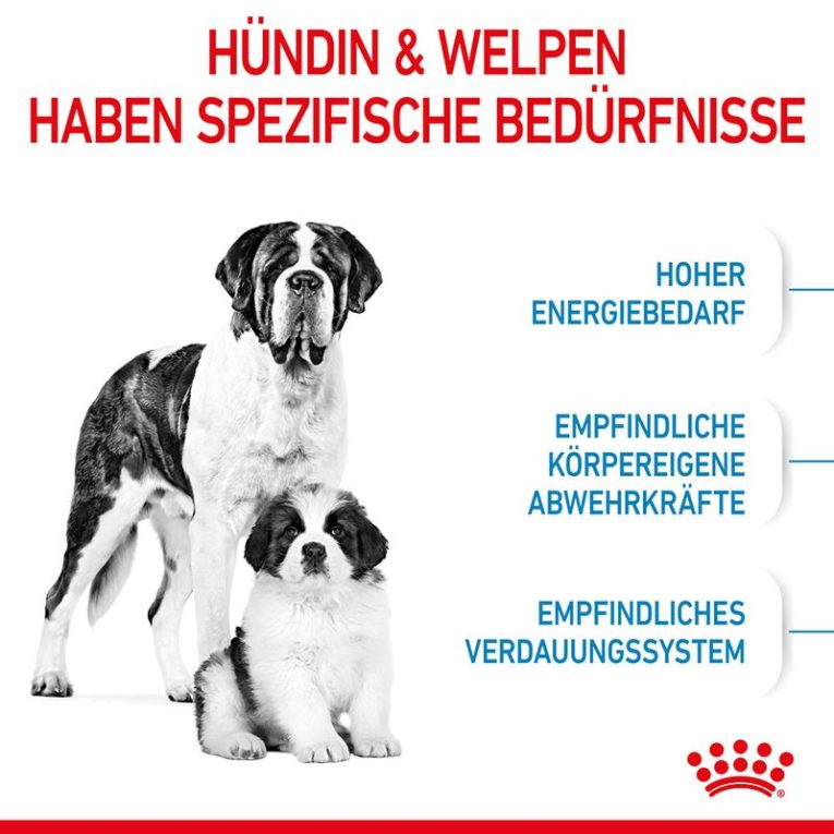 Royal Canin Giant Starter Mother & Babydog3