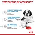 Royal Canin Giant Starter Mother & Babydog4
