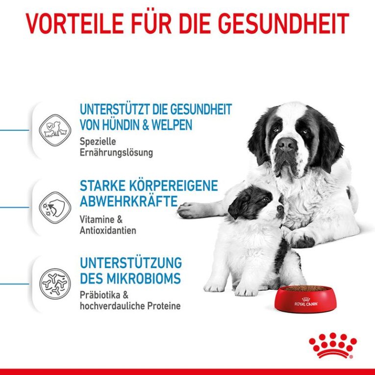 Royal Canin Giant Starter Mother & Babydog4
