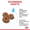Royal Canin Giant Starter Mother & Babydog5