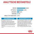 Royal Canin Giant Starter Mother & Babydog6