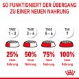 Royal Canin Giant Starter Mother & Babydog7