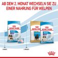 Royal Canin Giant Starter Mother & Babydog8