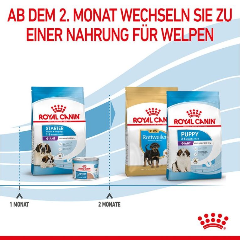Royal Canin Giant Starter Mother & Babydog8