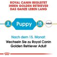 Royal Canin Golden Retriever Puppy4