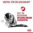 Royal Canin Hairball Care3