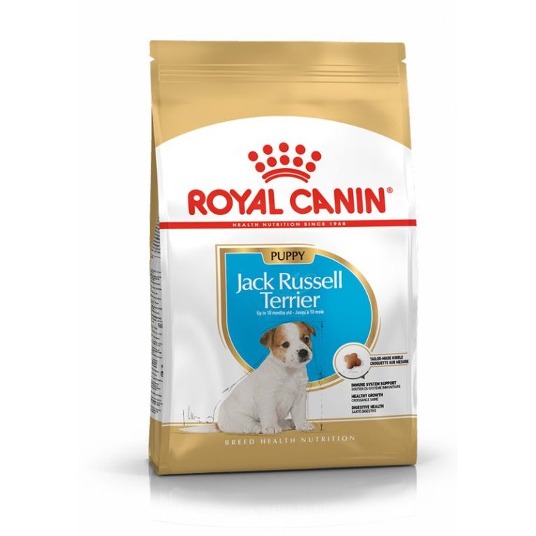 Royal Canin Jack Russell Puppy1
