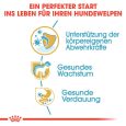 Royal Canin Jack Russell Puppy4