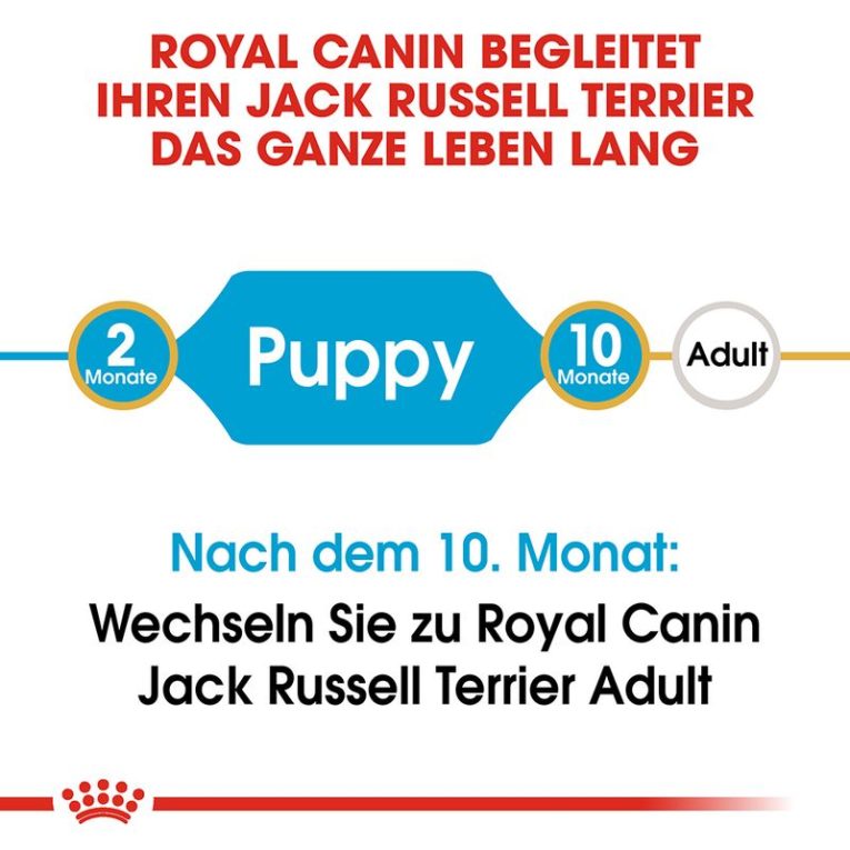 Royal Canin Jack Russell Puppy6