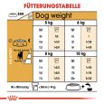 Royal Canin Jack Russell Terrier Adult5