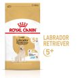 Royal Canin Labrador Retriever Adult 5+1