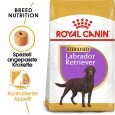 Royal Canin Labrador Retriever Adult Sterilised1