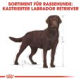 Royal Canin Labrador Retriever Adult Sterilised6