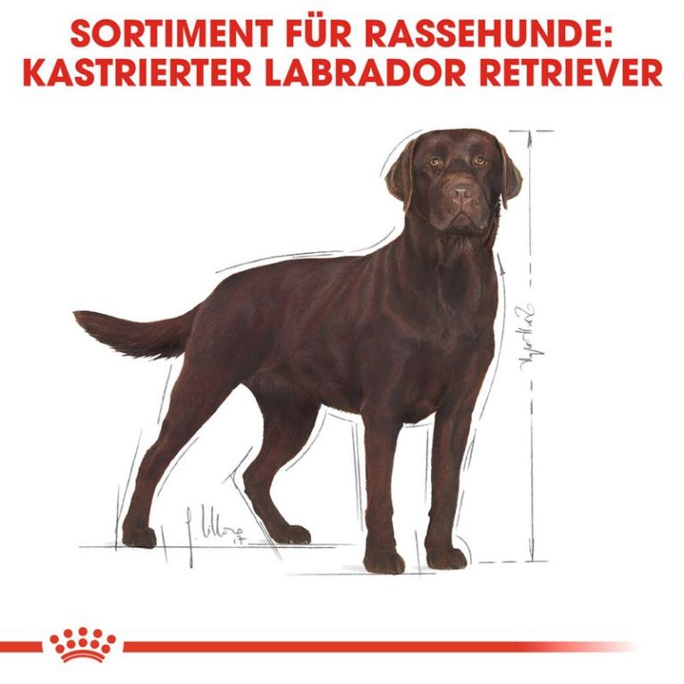 Royal Canin Labrador Retriever Adult Sterilised6