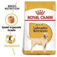 Royal Canin Labrador Retriever Adult1