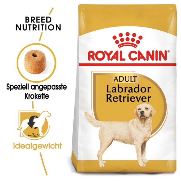 Royal Canin Labrador Retriever Adult1
