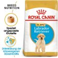 Royal Canin Labrador Retriever Puppy1