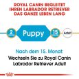 Royal Canin Labrador Retriever Puppy3