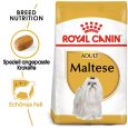 Royal Canin Maltese Adult1