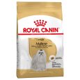 Royal Canin Maltese Adult2